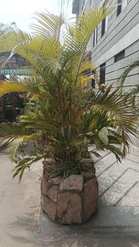 Φωτογραφία από το άλμπουμ του Kirungi Vacation Homes σε Fort Portal