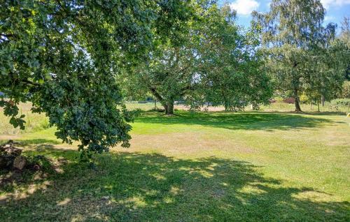 Un jardín fuera de Ferienhaus Dobbin