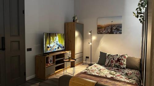 TV a/nebo společenská místnost v ubytování Baznicas Aparts Quiet Center