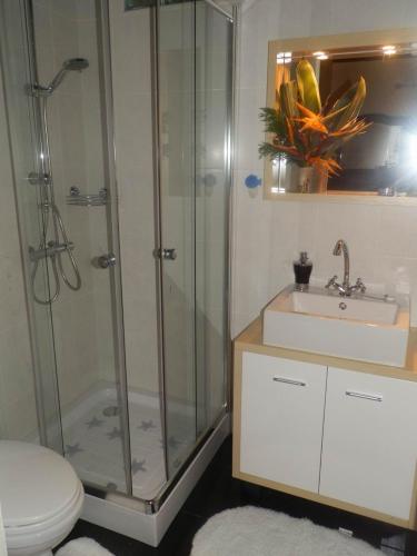a bathroom with a shower and a sink and a toilet at Coastal Trail Cottage in São Vicente Ferreira