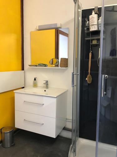 une salle de bain avec un lavabo blanc et une douche dans l'établissement Chambre pour une personne, à Metz