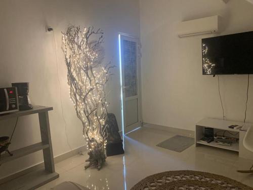 TV a/nebo společenská místnost v ubytování Le Petit Nettle avec Piscine aux Caraïbes, Vue Mer