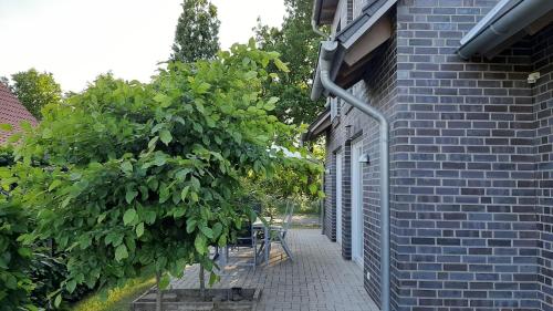 Fotografie z fotogalerie ubytování Ferienwohnung Birkenhof Alfsee v destinaci Rieste