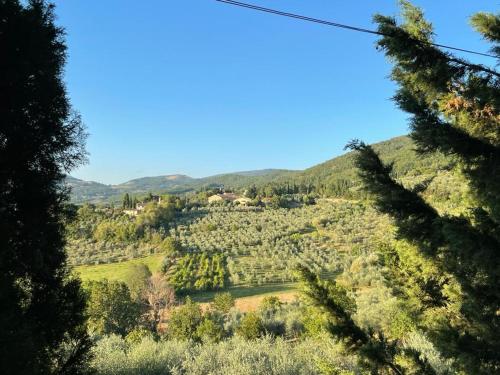 a view of a valley with trees and mountains at Agriturismo Fattoria Poggio di Fiesole in Fiesole