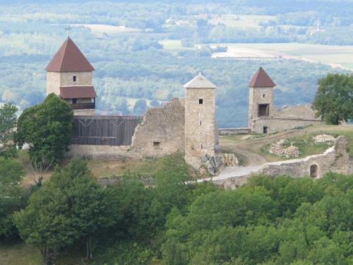 an old castle on top of a hill with trees at La Chalentine in Chevreaux