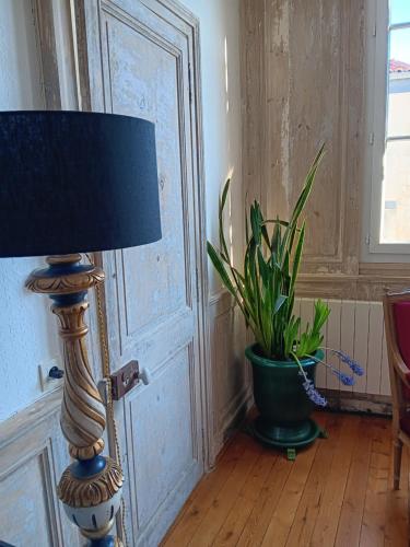 une lampe assise sur un sol à côté d'une plante en pot dans l'établissement The Appart 90m2 au coeur de la vieille ville, à La Rochelle