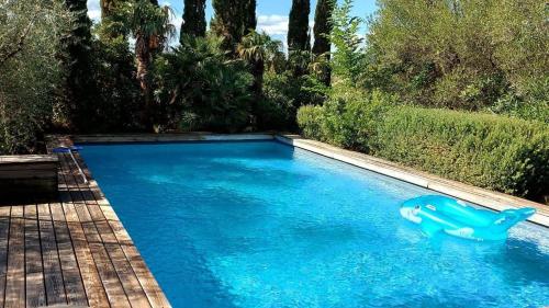 - une piscine avec un dauphin dans l'eau dans l'établissement Villa Gialla, 8 pers, piscine, 10 min plage en voiture, à Gialla