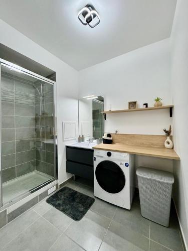 une salle de bain avec douche et machine à laver dans l'établissement Suite Serenity Near Disneyland Paris, à Coupvray