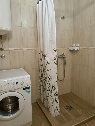 a bathroom with a washing machine and a shower at Talia Apartments in Budva