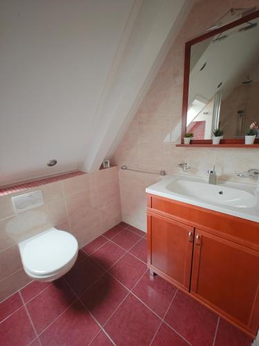 a bathroom with a white toilet and a sink at B&B Het Schipperskerkje in Tolkamer