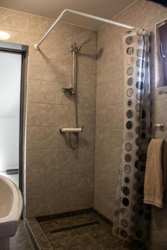 a bathroom with a shower and a sink at Sàndor-lak apartman in Ciceu