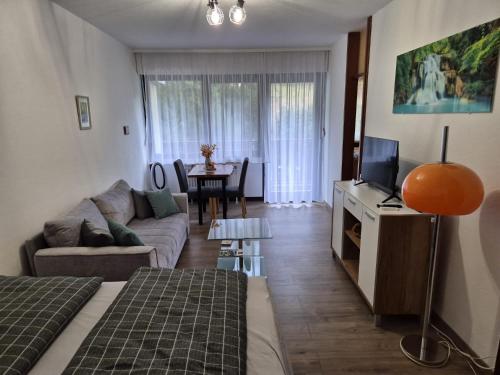 a living room with a couch and a tv at Wasserfälle Apartments in Sasbachwalden