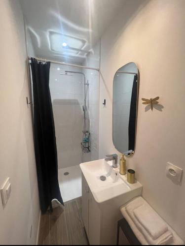 une salle de bain blanche avec un lavabo et un miroir dans l'établissement Chambre indépendante proche du Circuit des 24h et du Pôle Européen du Cheval, à Yvré-lʼÉvêque