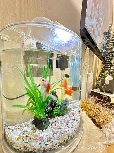 a fish tank with two goldfish in it at Ten10 in Nagoya