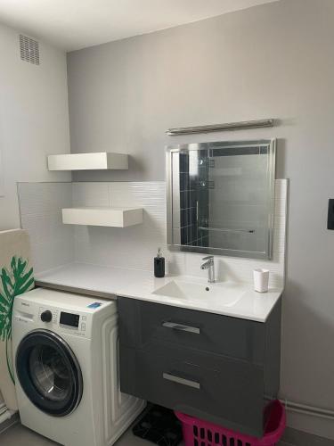 une salle de bain avec un lavabo et une machine à laver dans l'établissement Grand appartement avec balcon et 2 chambres, à Montluçon
