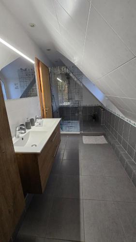 La grande salle de bains est pourvue d'un lavabo et d'une douche. dans l'établissement L'Escale du Centre Alsace, à Sélestat