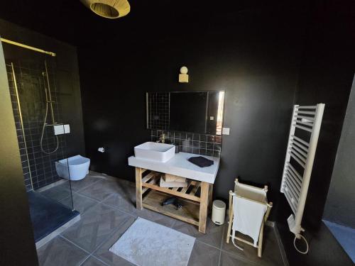 a bathroom with a sink and a shower and a toilet at Grande bâtisse fraîchement rénovée in Bussiares