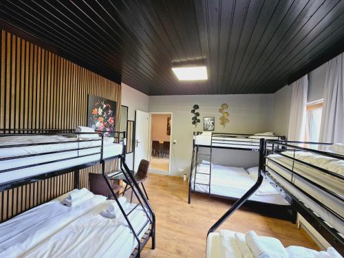 a dorm room with three bunk beds in it at The Art and Sporthotel in Innsbruck