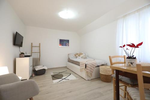 Apartment Mir