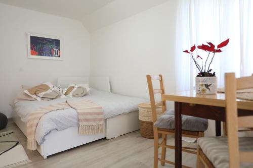 Apartment Mir