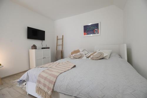 Apartment Mir