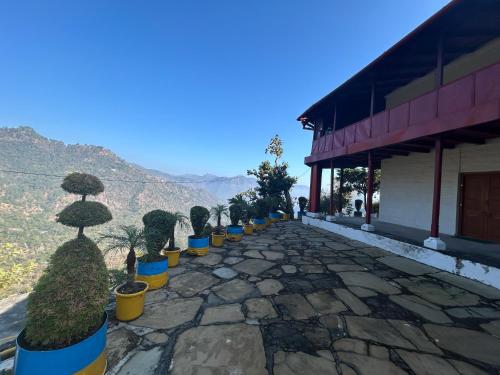 a row of potted trees inront of a building at The Bayleaf Cafe and Shivalik Homestay in Nainital