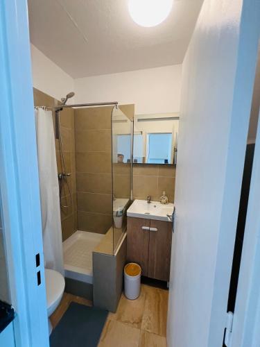 une salle de bain avec une douche, des toilettes et un lavabo dans l'établissement Modern flat DE -CH- Airport -Parking, à Huningue