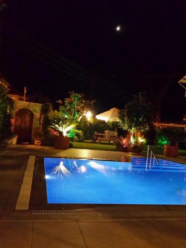 a swimming pool at night with a shark in the water at Centrally Located Very Large Villa W Pool Jakuz and Car Park in Fethiye