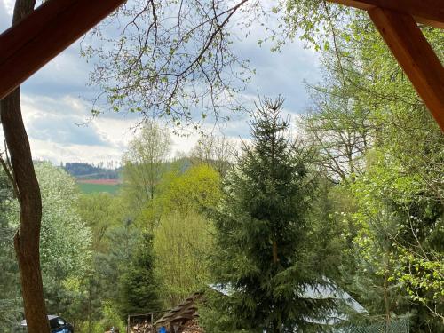 a view of a christmas tree in a forest at Tiny Resort Chotěvice 1 in Chotěvice