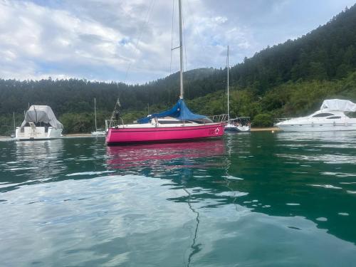 Billede fra billedgalleriet på Hospedagem exclusiva no veleiro i Ubatuba