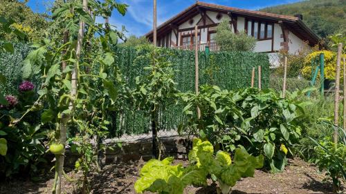 a garden in front of a house at Matxiku Aurre in Berástegui