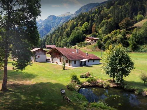 een huis in het midden van een veld met een vijver bij La Ferme du Cortet - OVO Network in Thônes