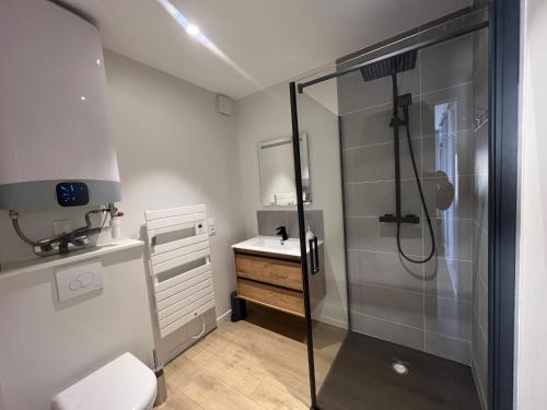 a bathroom with a shower and a sink at Conteneur Design Avec Jacuzzi - Bord de Forêt in Saint-Amand-les-Eaux