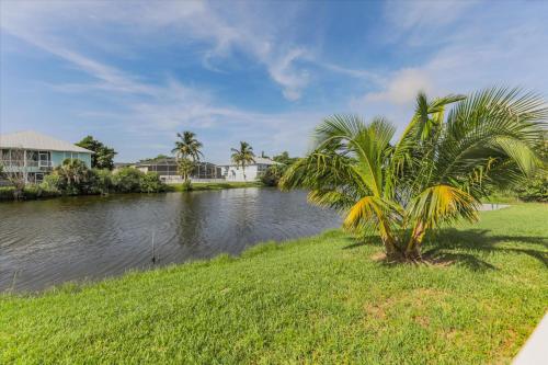 a palm tree sitting on the side of a river at Sunshine Lagoon in Sanibel