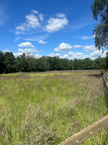 a field of grass with a wooden fence at Forest holiday home with option to bring your horse & Hot Tub in Brettenham