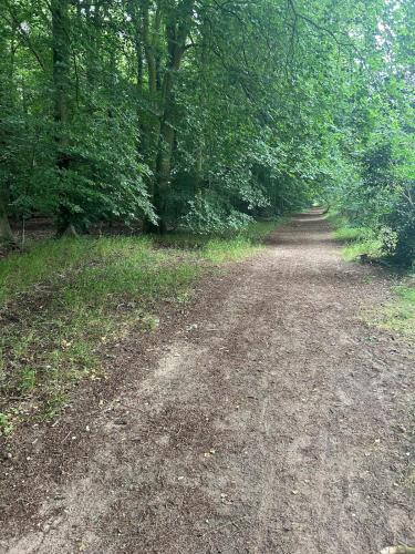 a dirt road with trees on either side at Forest holiday home with option to bring your horse & Hot Tub in Brettenham