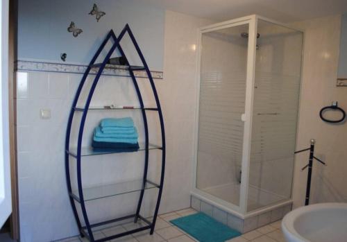 a bathroom with a shower and a clear glass shelf at Ferienwohnungen Albrecht in Kloster