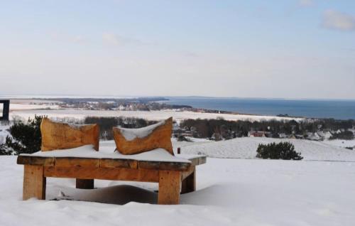 a bench covered in snow with a view of the ocean at Ferienwohnungen Albrecht in Kloster