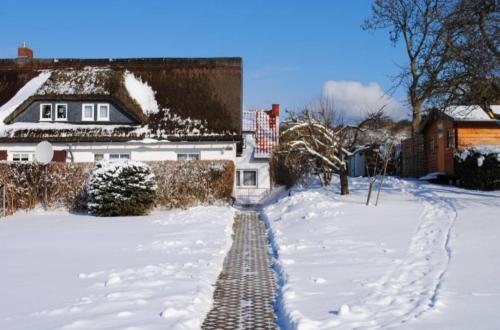 a walkway in the snow in front of a house at Ferienwohnungen Albrecht in Kloster
