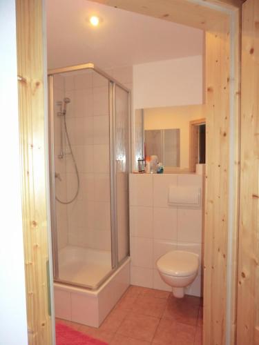 a bathroom with a shower and a toilet at Zum Horizont in Deggendorf