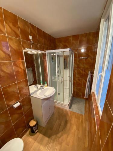 une salle de bain avec toilettes, lavabo et douche dans l'établissement Royal Haveli, à Tergnier