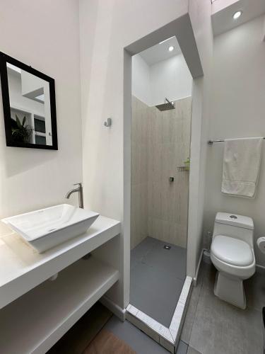 a bathroom with a toilet and a sink and a shower at Hotel Boutique Fiorentina Medellín in Medellín