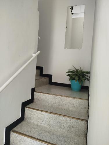 a stairway with a potted plant and a mirror at Serene Home in Líbano