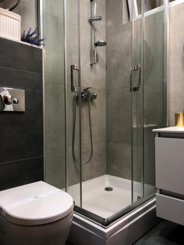 un bagno con doccia e WC di Studio apartman DORIS a Slavonski Brod