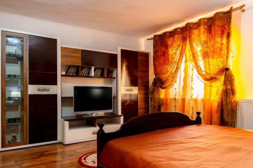 una camera da letto con un letto, una tv e una finestra di Pensiunea Anais a Novaci-Străini