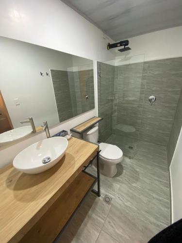 a bathroom with a sink and a toilet and a shower at Apartaestudio comodo y central S4 - WiFi in Pasto