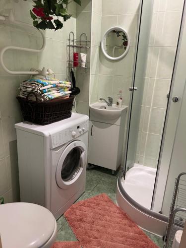 a bathroom with a washing machine and a sink at Brīvdienu māja Skerškāni in Krāslava