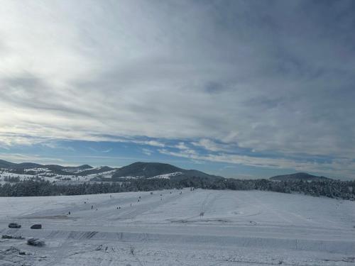 a group of people skiing down a snow covered slope at Apartman 10 in Zlatibor