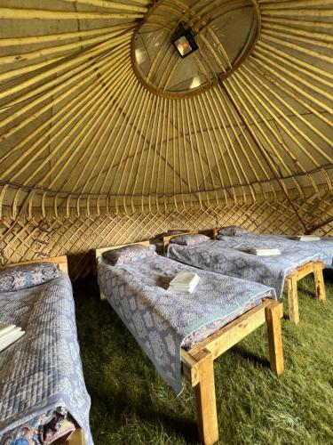 Fotografie z fotogalerie ubytování Kel-Suu yurt camp v destinaci Kol-Suu
