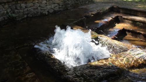 a stream of water in a concrete trough at Convento di Acqua Premula in Sellano